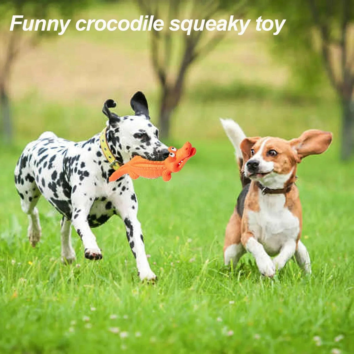 Pet Deluxe Squeaky Dog Toys for Aggressive Chewers, Durable Dog Toys Natural Rubber, Interactive Tough Dog Chew Crocodile Toy Teeth Cleaning for Medium Large Dogs