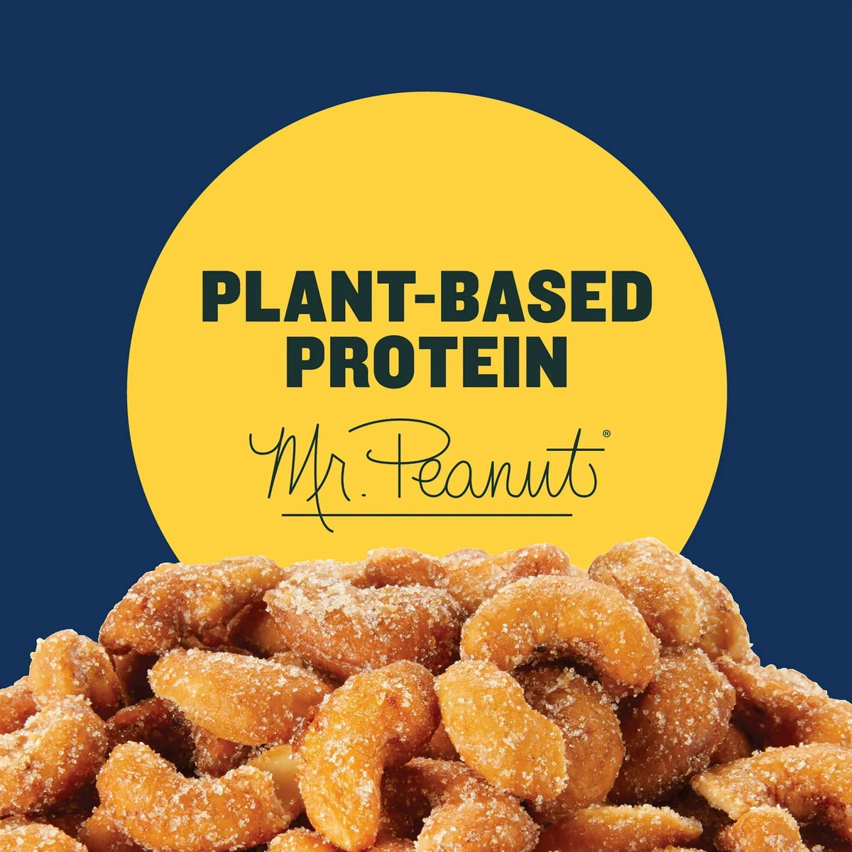 PLANTERS Deluxe Honey Roasted Whole Cashews, Sweet and Salty Snacks, Plant Based Protein, 8.25 oz Steel Can