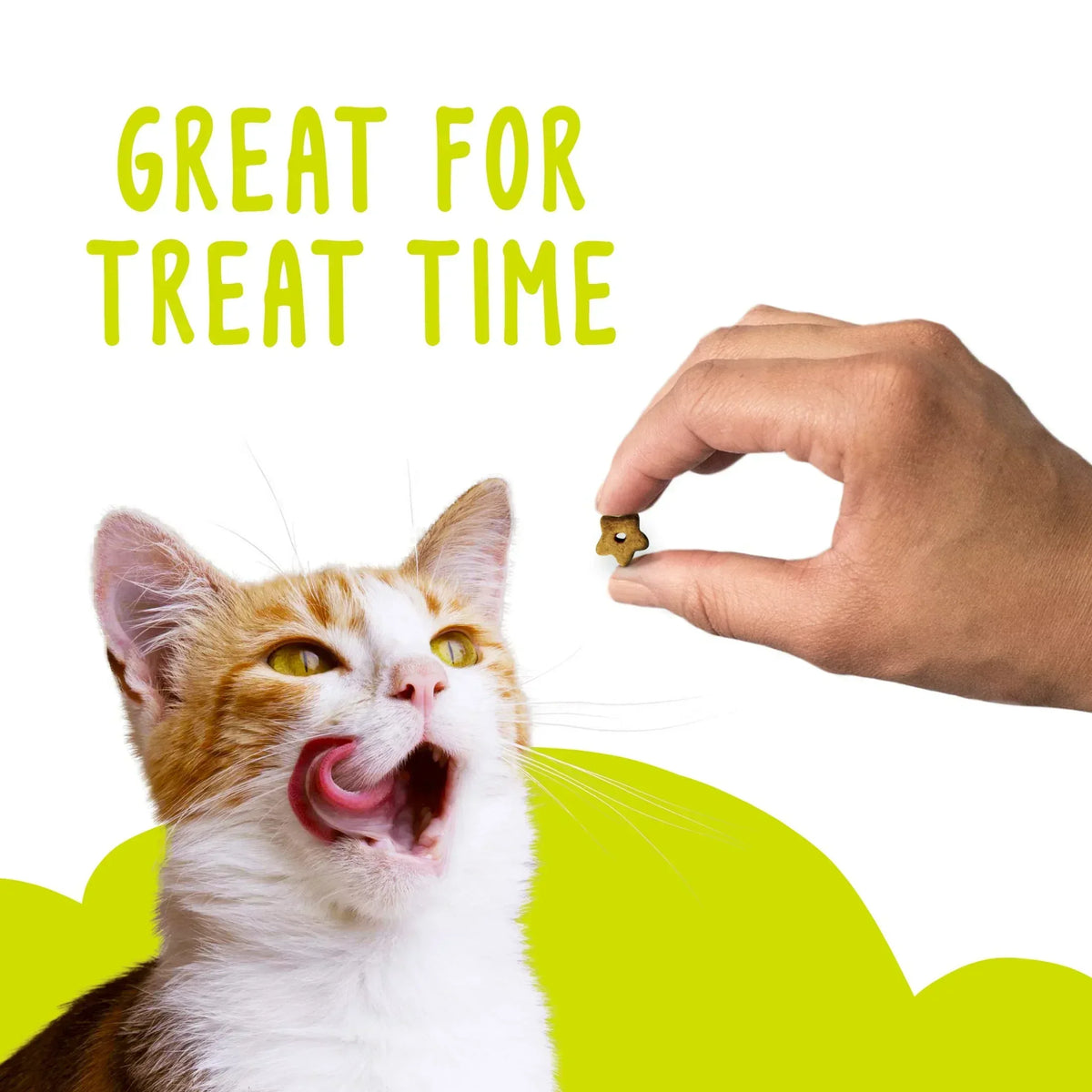 Purina Friskies Party Mix Original Crunch, Cat Treats, Chicken, Liver, & Turkey, 20 oz Canister