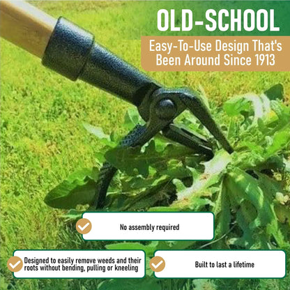 Grampa's Weeder - The Original Stand Up Weed Puller Tool With Long Handle - Made With 4-Claw Steel Head Design - Easily Remove Weeds Without Bending, Pulling, or Kneeling
