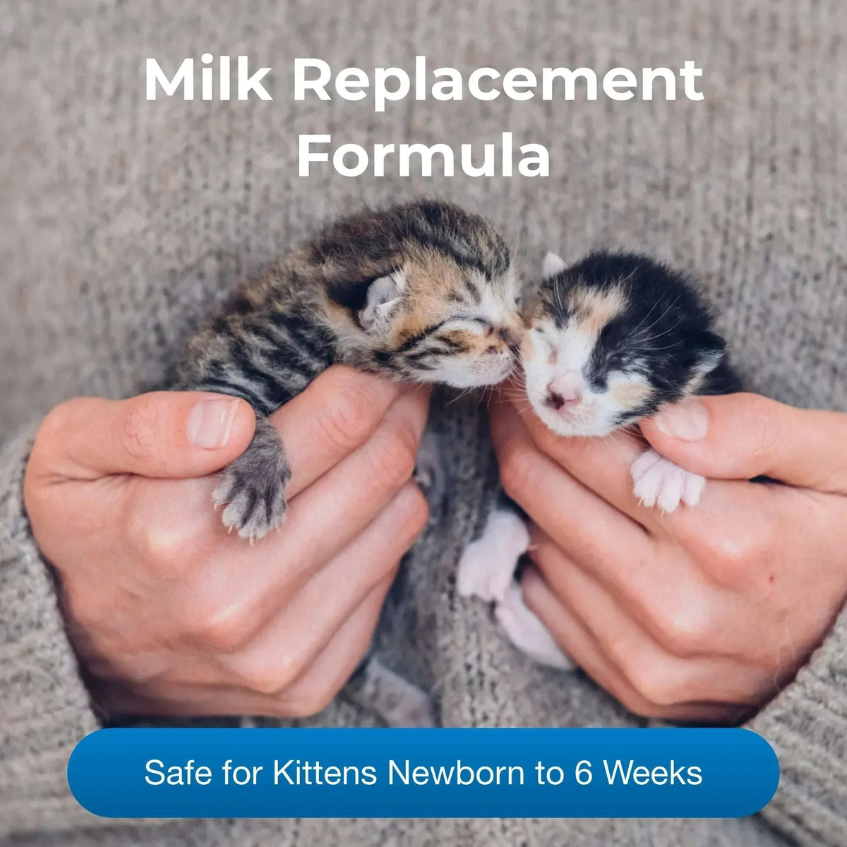 PetAg Milk Replacer Plus Liquid for Cats and Kittens, 32 fl oz