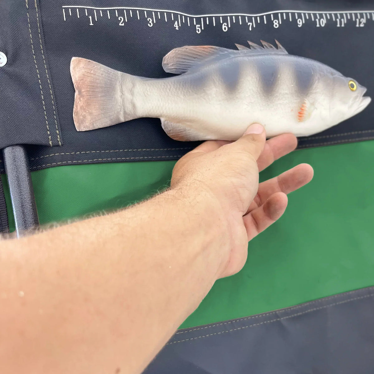 Fishing Chair with Rod Holder Built In Cooler Hands Free Fishing Pole Holder - Storage Pouch Storage Bag for Fishing Accessories Full Size Portable & Folding Ruler for Measuring Fish