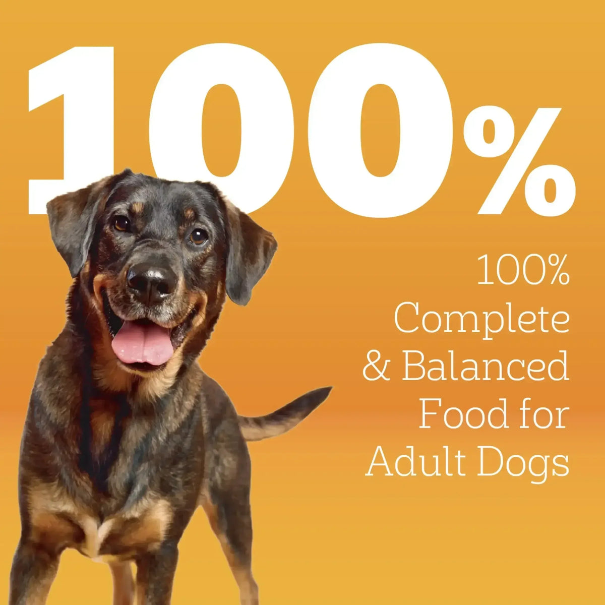 Pedigree High Protein Adult Dry Dog Food, Beef and Lamb Flavor