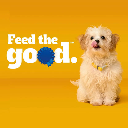 Pedigree Puppy Growth & Protection Dry Dog Food Chicken & Vegetable Flavor