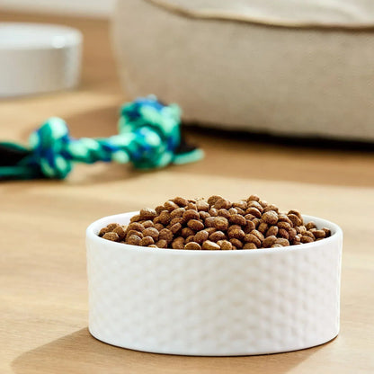 Pure Balance Grain-Free Lamb & Fava Bean Recipe Dry Dog Food