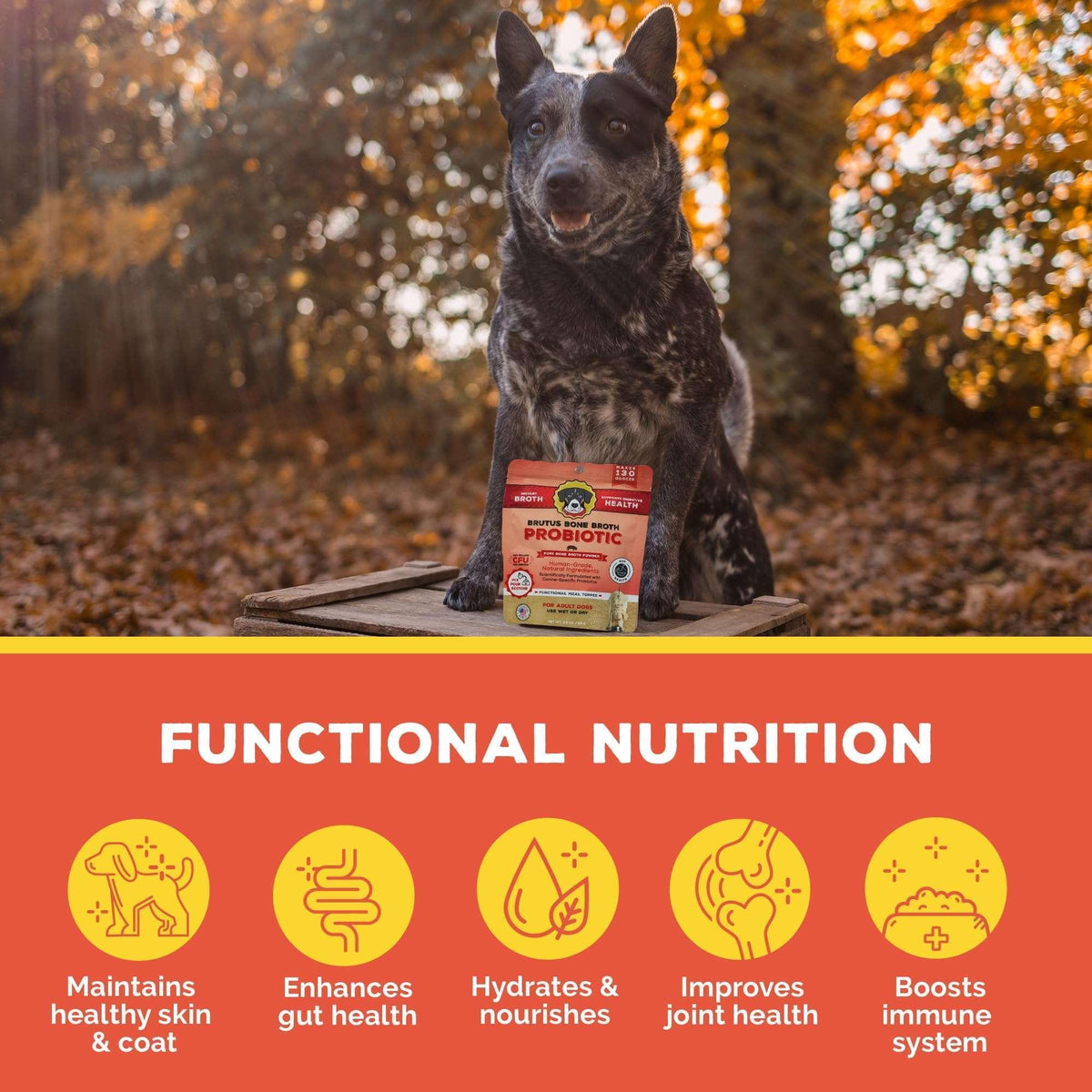 Brutus Bone Broth Probiotic Meal Toppers for Dogs Mega Pack (Pork) - Pet Food Topper - Bone Broth Powder Fortified - Pet Safe Human Grade Dog Food Topper - Makes Up to 130 Liquid Oz
