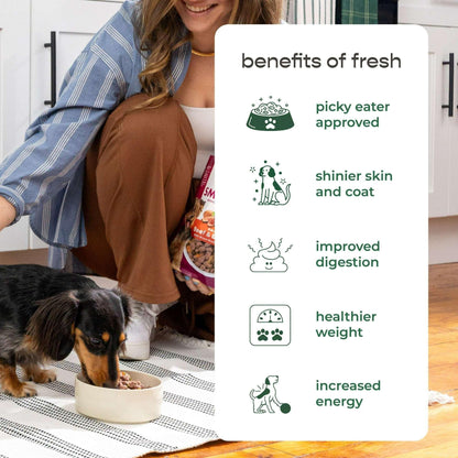Freshpet Fresh Dog Food, Small Dog Beef & Egg Recipe, Small Bites Freshly Roasted Meals, 1 lb.