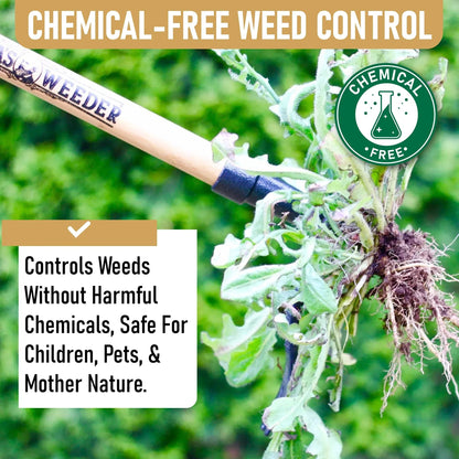 Grampa's Weeder - The Original Stand Up Weed Puller Tool With Long Handle - Made With 4-Claw Steel Head Design - Easily Remove Weeds Without Bending, Pulling, or Kneeling
