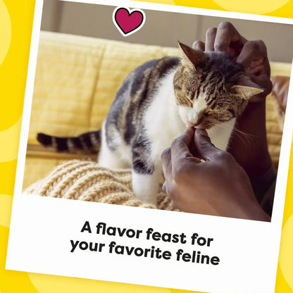 Temptations Mixups Surfer'S Delight Flavor Crunchy And Soft Cat Treats
