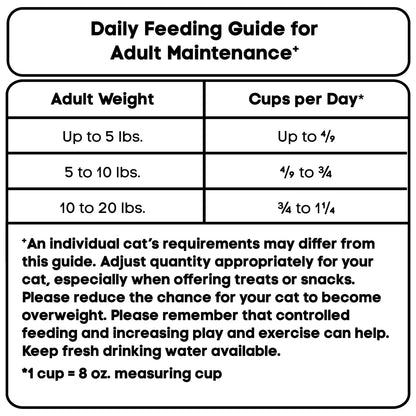 Special Kitty Complete Nutrition Chicken & Turkey Flavor Dry Cat Food, 16 lb Bag