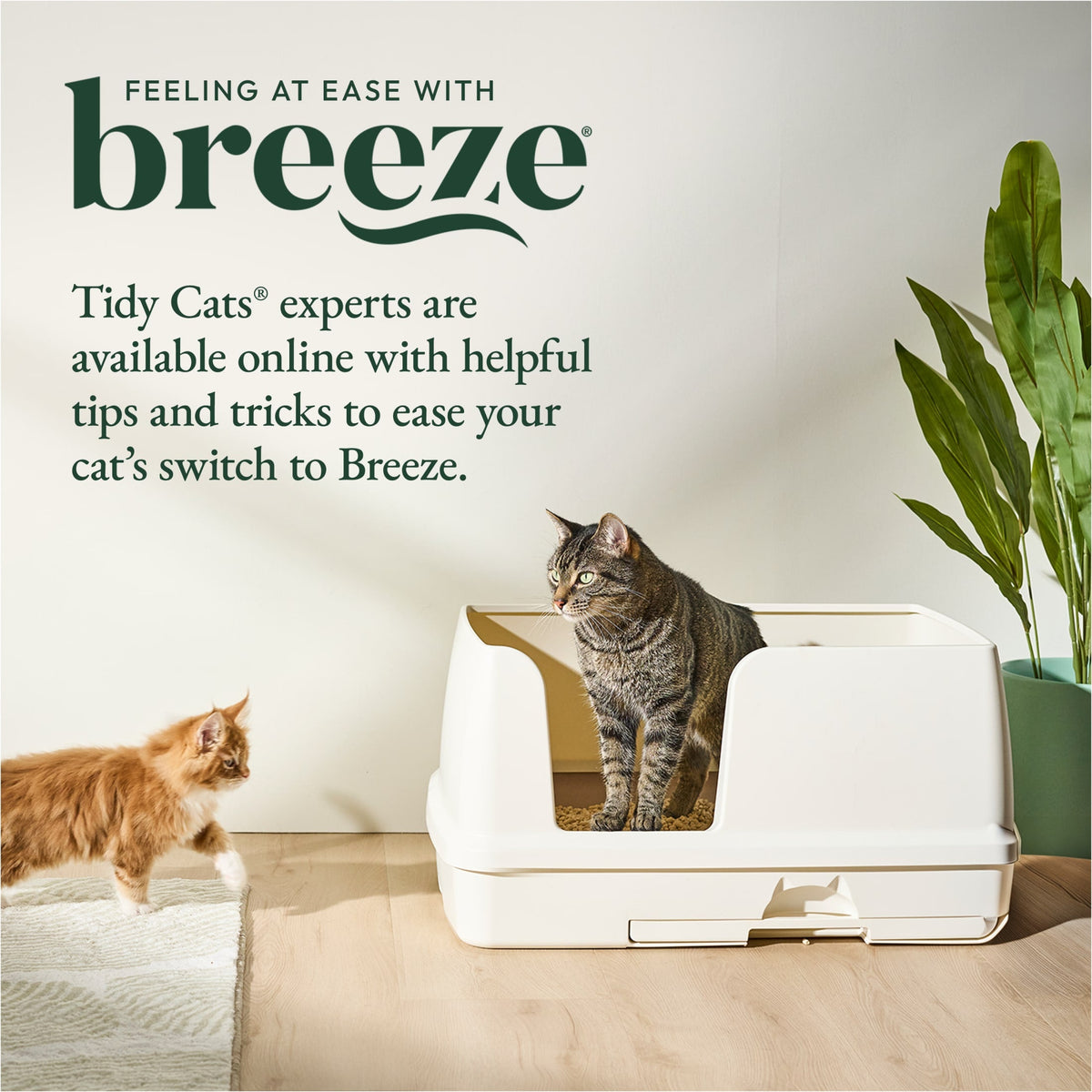 Purina Tidy Cats Breeze Bigger Cat Litter Box System Kit with Pellet Cat Litter, XL Litter Box and Litter Box Pads
