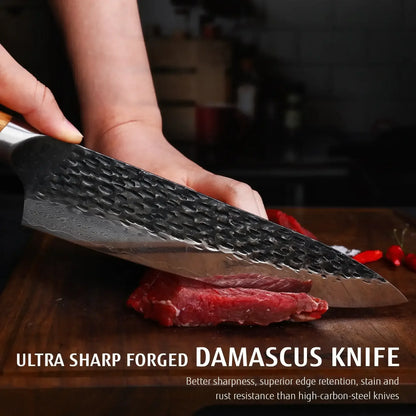 Hecef Japanese Chef Knife, Forged 67-Layer Damascus Steel Ultra Sharp Professional Hammered Carving Knife