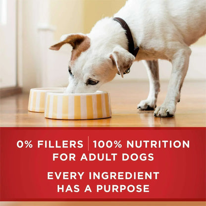 Purina ONE Smart Blend Wet Dog Food, High Protein Soft Chicken & Brown Rice, 13 oz Can