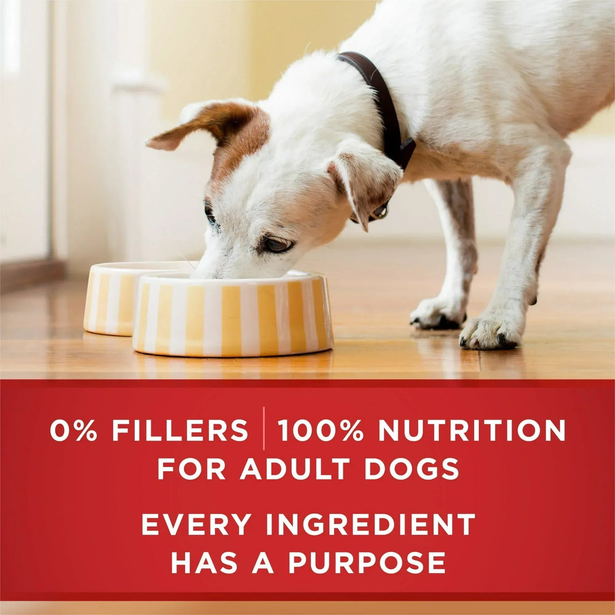 Purina ONE Smart Blend Wet Dog Food, High Protein Soft Chicken & Brown Rice, 13 oz Can