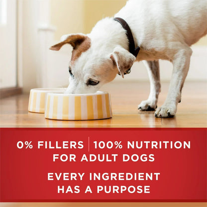 Purina ONE Smart Blend Wet Dog Food, High Protein Soft Chicken & Brown Rice, 13 oz Can
