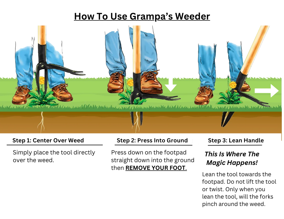 Grampa's Weeder - The Original Stand Up Weed Puller Tool With Long Handle - Made With 4-Claw Steel Head Design - Easily Remove Weeds Without Bending, Pulling, or Kneeling