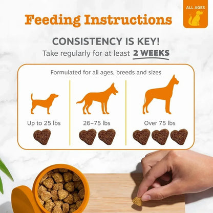 Zesty Paws Scoot Away Bites for Dogs, Digestive Support Functional Dog Supplement, Chicken Flavor, 90 Count Soft Chews