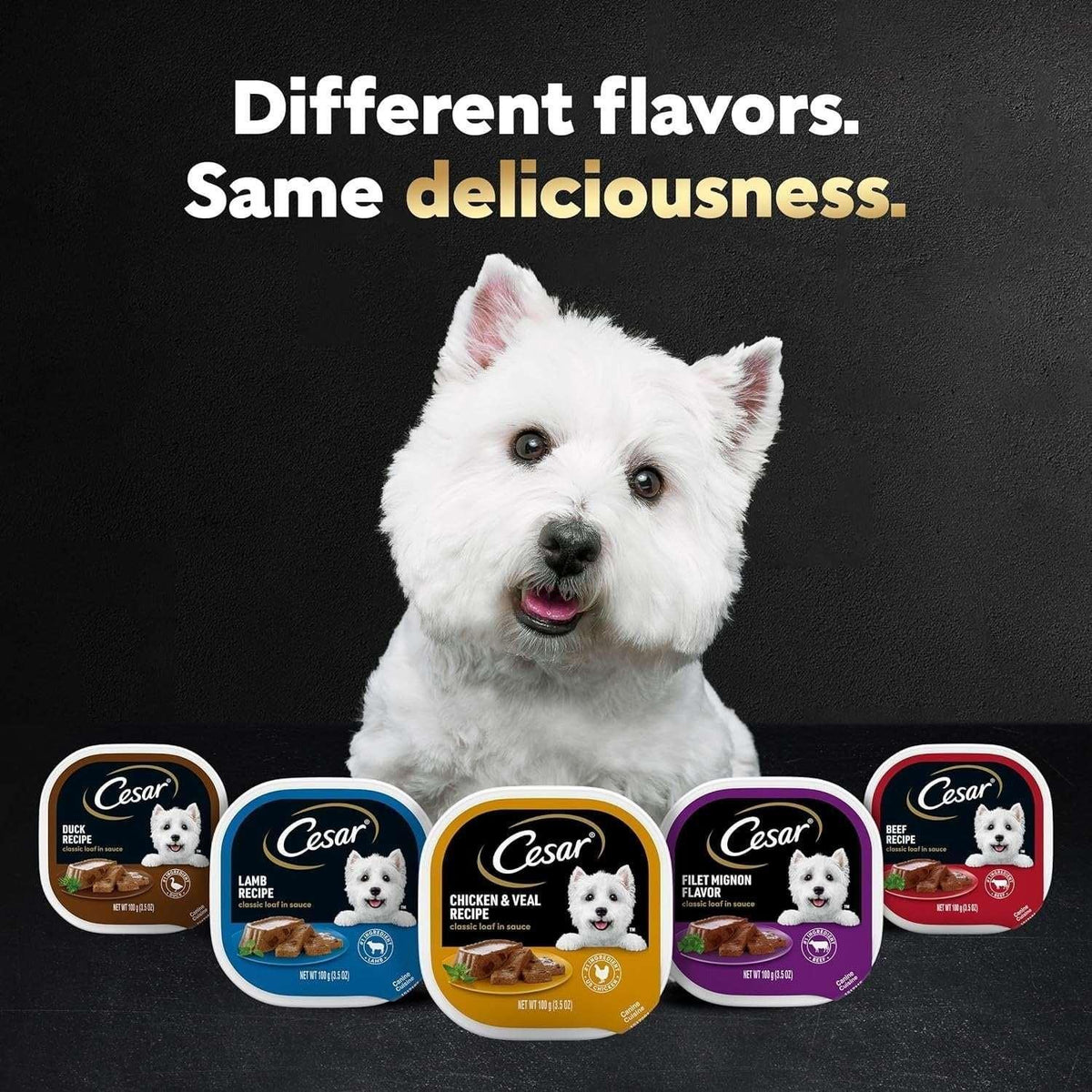 CESAR Soft Wet Dog Food Classic Loaf in Sauce Filet Mignon Flavor, 3.5 oz. Easy Peel tray