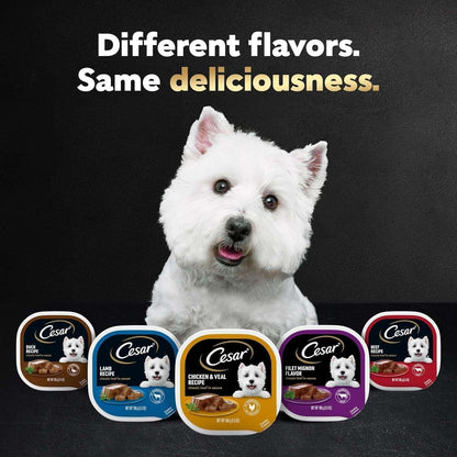 CESAR Soft Wet Dog Food Classic Loaf in Sauce Filet Mignon Flavor, 3.5 oz. Easy Peel tray