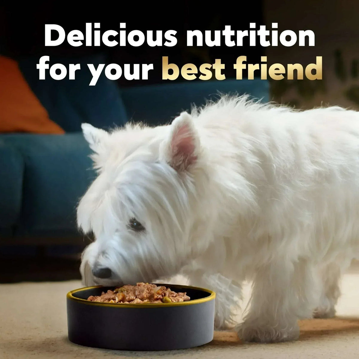 Cesar Home Delights Turkey, Green Beans & Potatoes Dog Food Adult, 3.5 Oz.