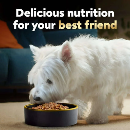 Cesar Home Delights Turkey, Green Beans & Potatoes Dog Food Adult, 3.5 Oz.
