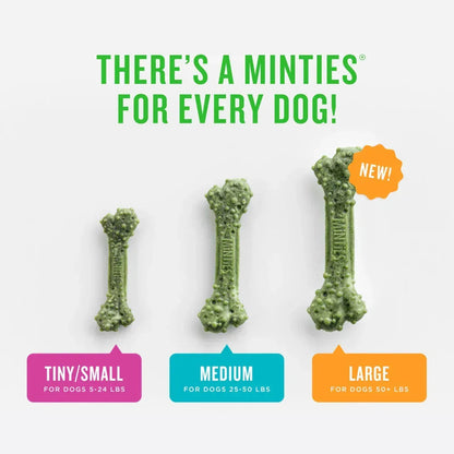 Minties Dental Bone Treats, Chews for Medium Dogs over 40 lbs, 20 Count, 16 oz, Shelf-Stable