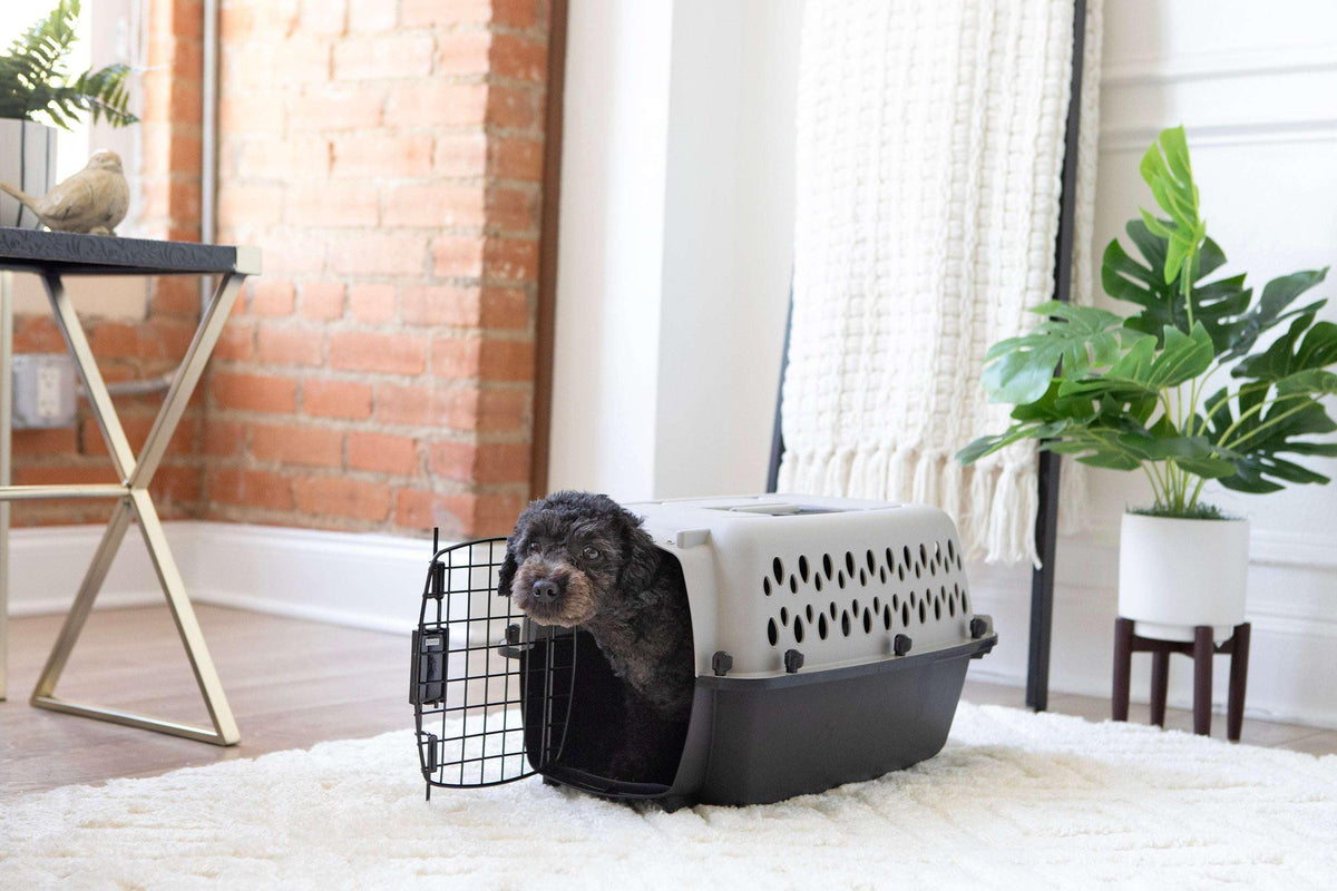 Vibrant Life Pet Portable Kennel for Dogs, Hard-Sided Travel Carrier, Durable, Metal Door, Black & Grey, For Pets up to 10 lbs, 19" L x 12.3" W x 10.8" H