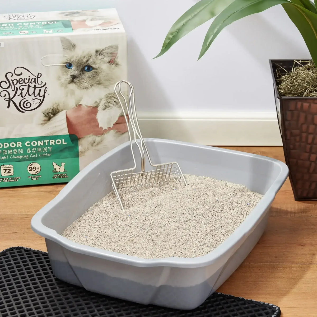 Special Kitty Scoopable Tight Clumping Cat Litter, Fresh Scent, 20 lb
