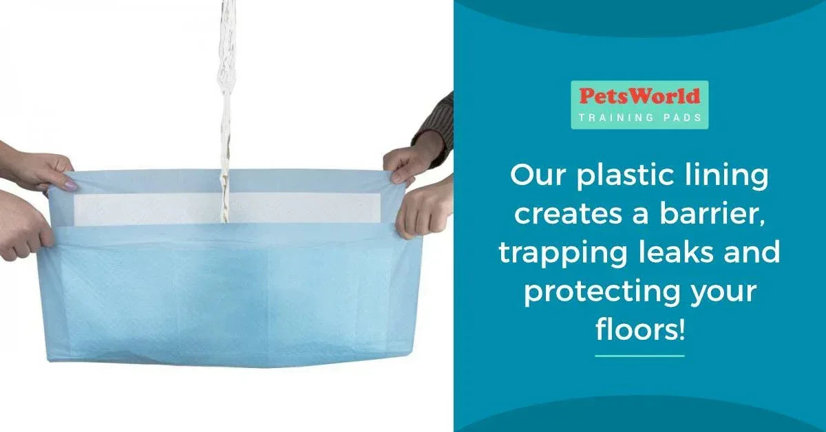 Gigantic Dog Training Pads, 36 in x 36 in, 150-Count, Disposable, Ultra-Absorbent, Heavy-Duty