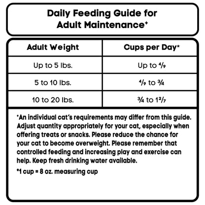 Special Kitty Gourmet Formula Seafood Blend Flavor Dry Cat Food, 3.15 lb Bag