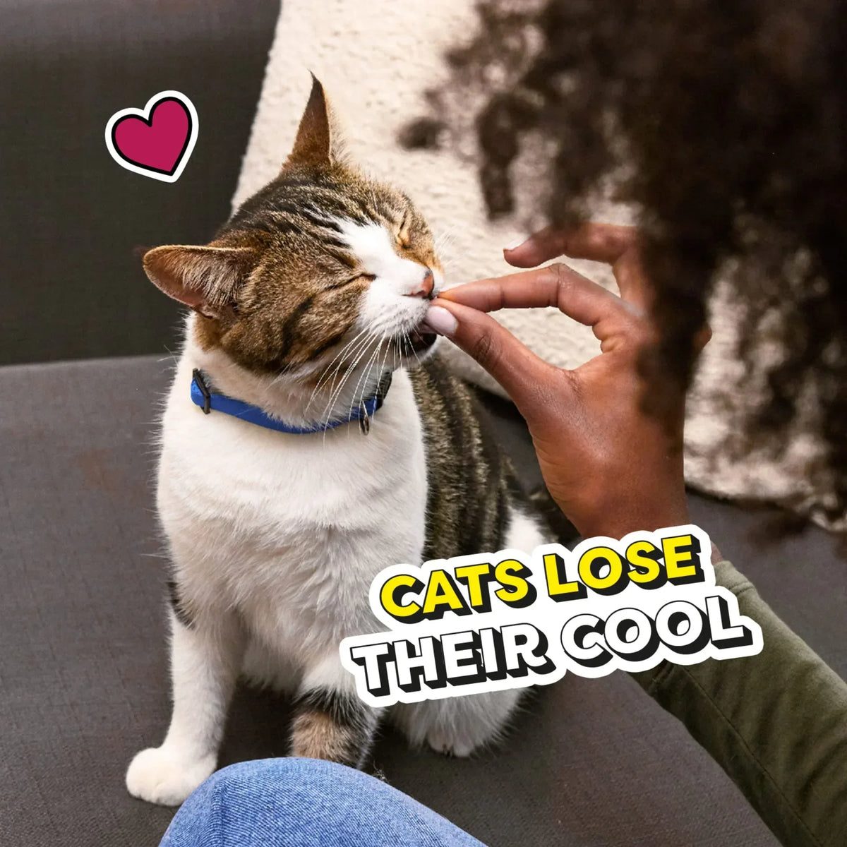 Temptations Mixups Surfer'S Delight Flavor Crunchy And Soft Cat Treats
