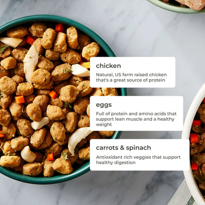 Freshpet Fresh Dog Food, Tender Chicken Recipe, Freshly Roasted Meals, 5.5 lb.