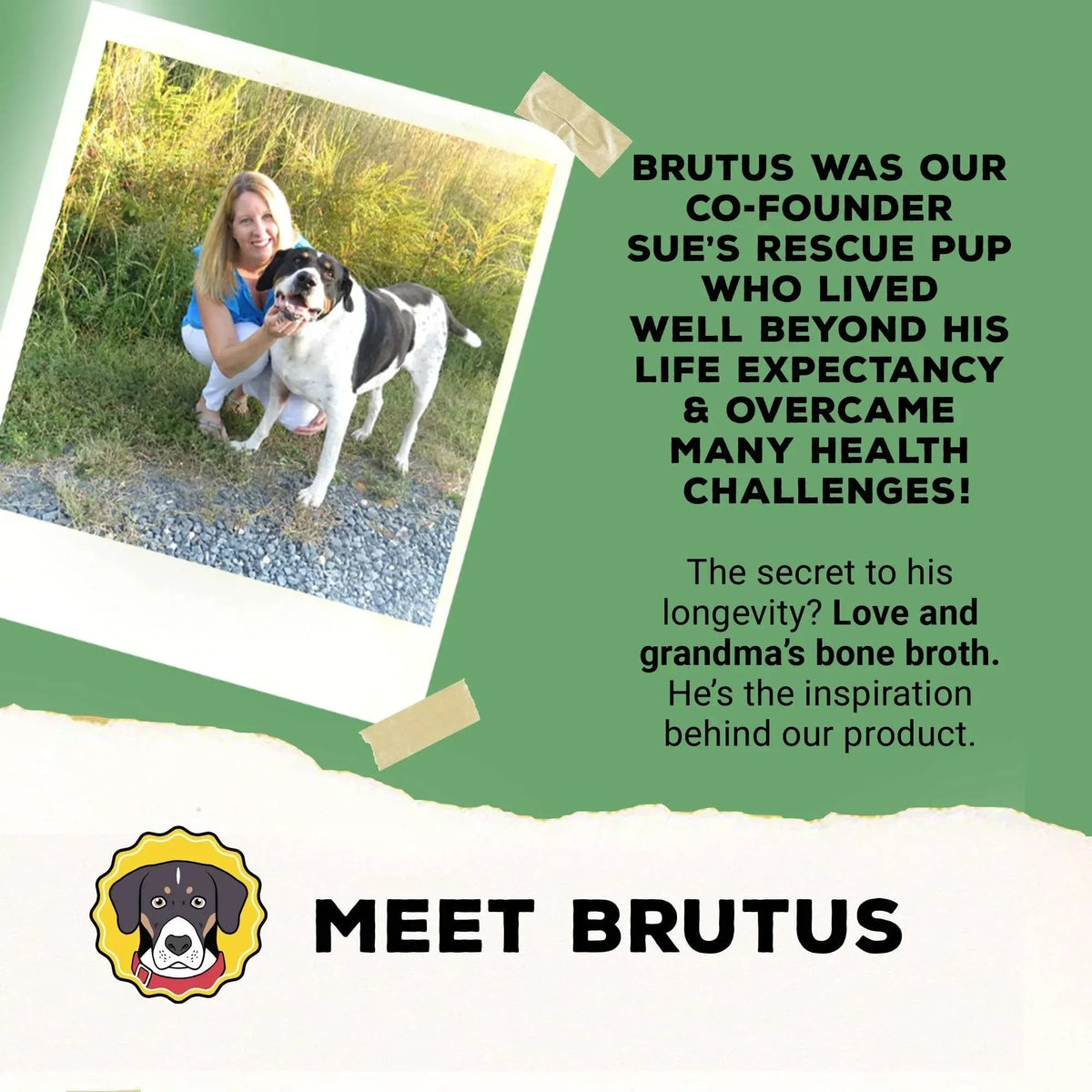Brutus Broth Skin and Coat Meal Topper for Dogs Mega Pack (Salmon) - Pet Food Topper - Vegetable Broth Powder with Omegas 3, 6 & 9 for Skin and Coat Health - Makes Up to 130 fl oz