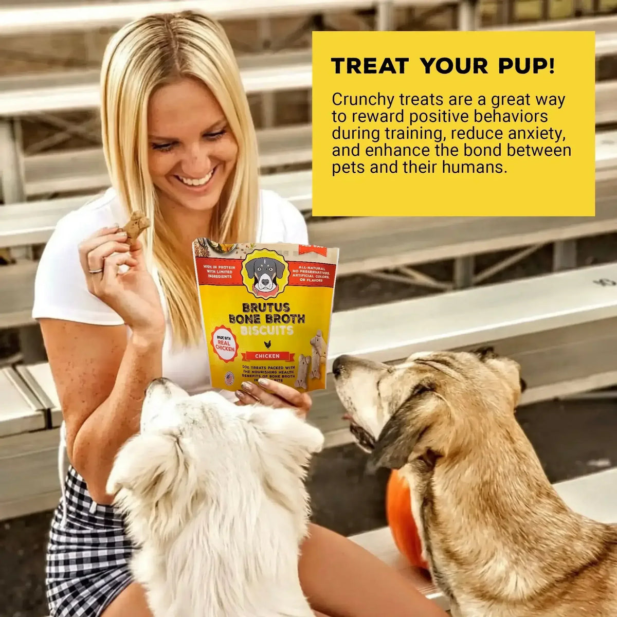 Brutus Bone Broth Biscuits (Chicken) - Healthy Dog Treats -Pet Food Topper - Natural Dog Biscuits with Dog Bone Broth and Real Chicken Meat - 18 Grams of Protein - 8 OZ