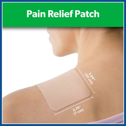 Salonpas Mild to Moderate Pain Relief Patch, Small, 20 Count