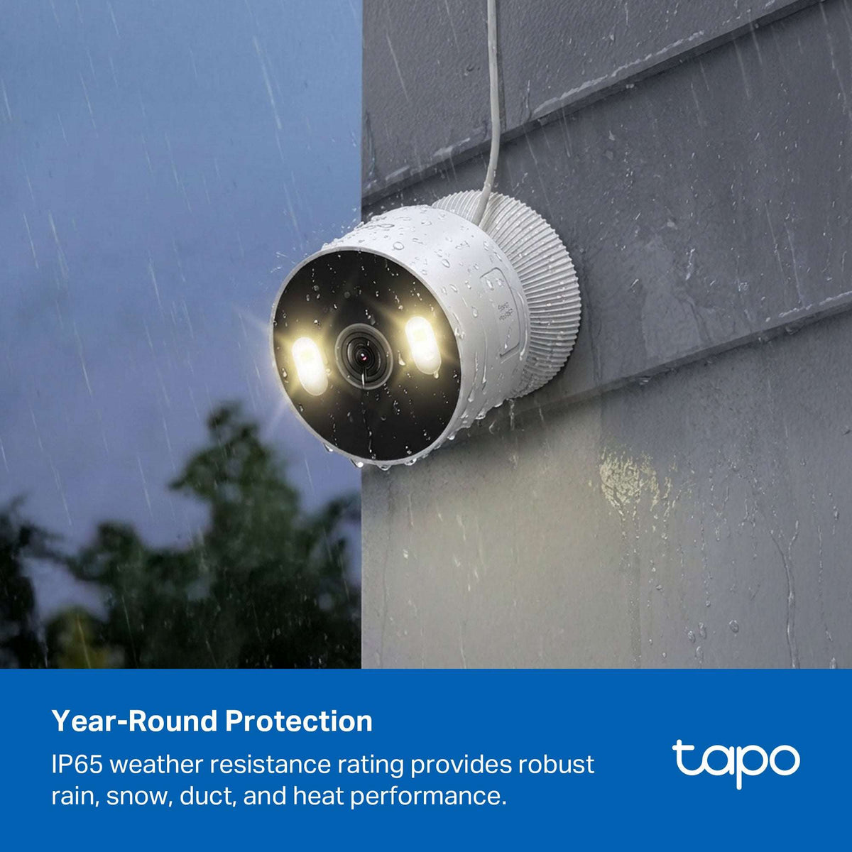 TP-Link Tapo TCW61 Indoor/Outdoor HD Security Camera with Color Night Vision, Free Smart AI Detection, No Subscription Needed, 2-Way Audio, Local Storage, Alexa & Google Home Compatible