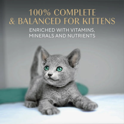 Sheba Perfect Portions Kitten Variety Flavors Pate Wet Cat Food, 2.6 oz Twin-Pack Trays (12 Pack)