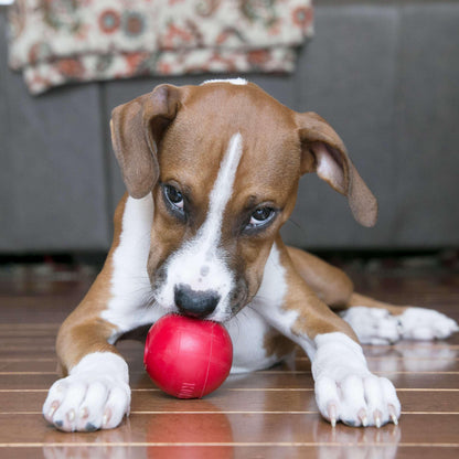 KONG® Ball Puncture Resistant Dog Toy for Average Chewers, Medium/Large, for Dogs Between 30-65 lbs