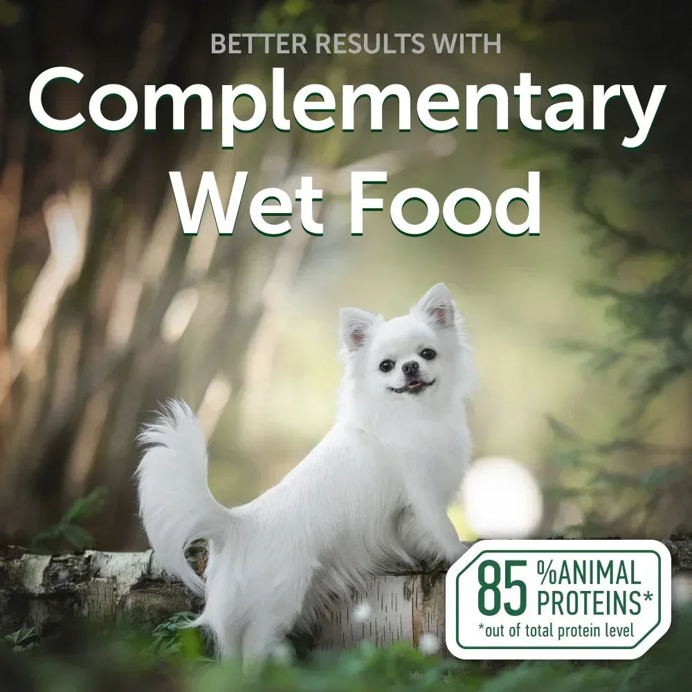 Nature's Protection Superior Care Tuna Fish Topper Wet Dog Food, Adult, 2.46 oz Pouch (24-Pack)
