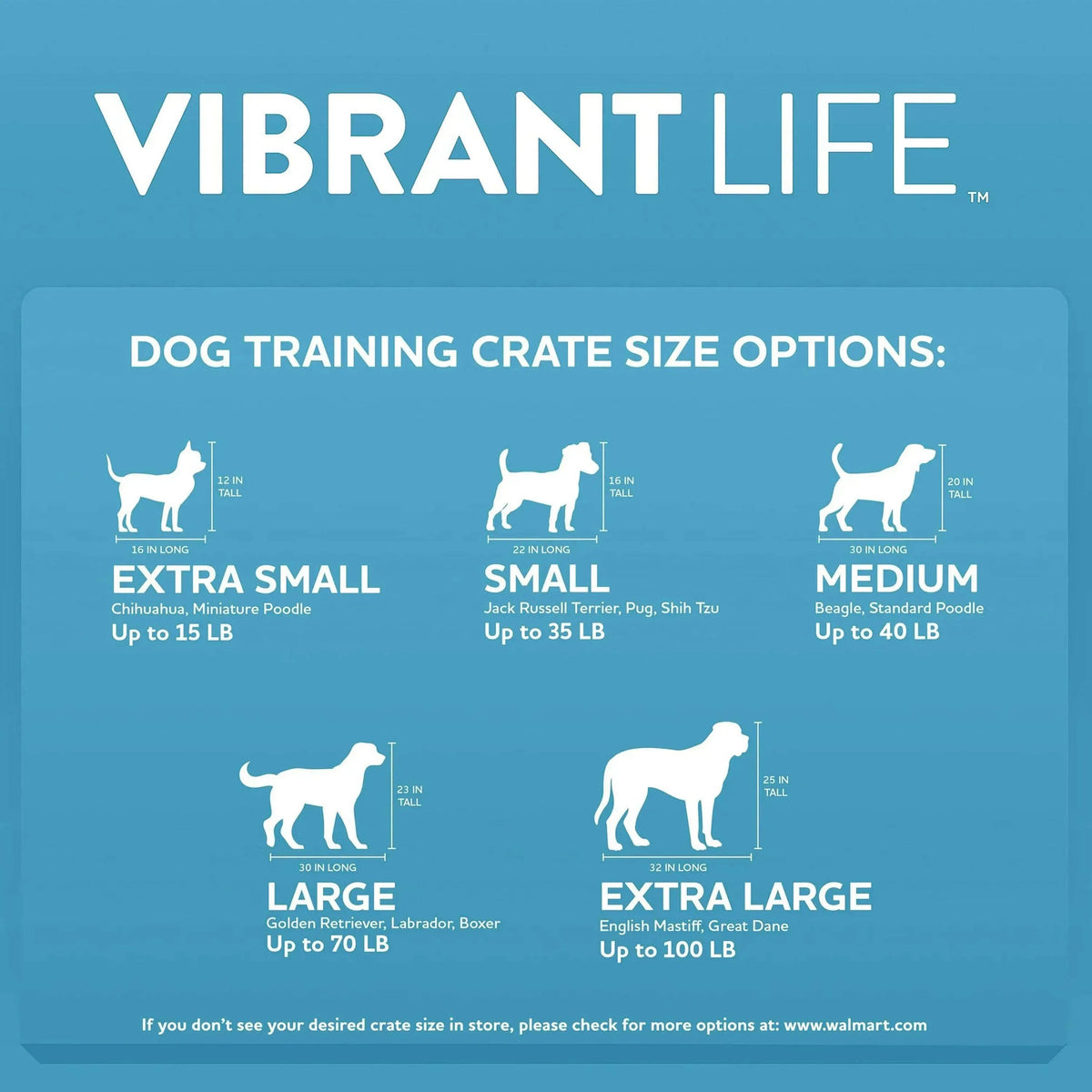 Vibrant Life Kennel for Dogs & Cats, Durable Plastic, Two Door Openings, Blue, Maximum Pet Weight 30 lbs, 24" L x 16.5" W x 14.5"H