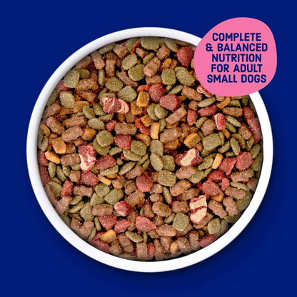 Kibbles ‘n Bits Bistro Mini Bits Small Breed Dry Dog Food Beef & Apple Flavors, 16 lb. Bag