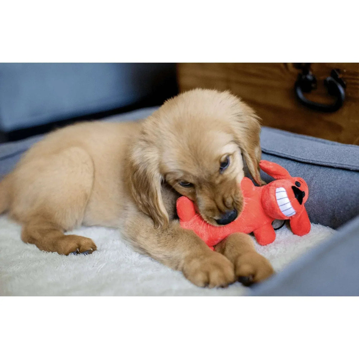 Multipet Smiling Loofa Plush Dog Toy with Squeaker, 6 inch