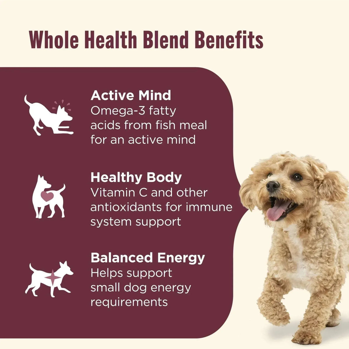 Nutrish Small Breed Real Chicken & Veggies Recipe Whole Health Blend Dry Dog Food