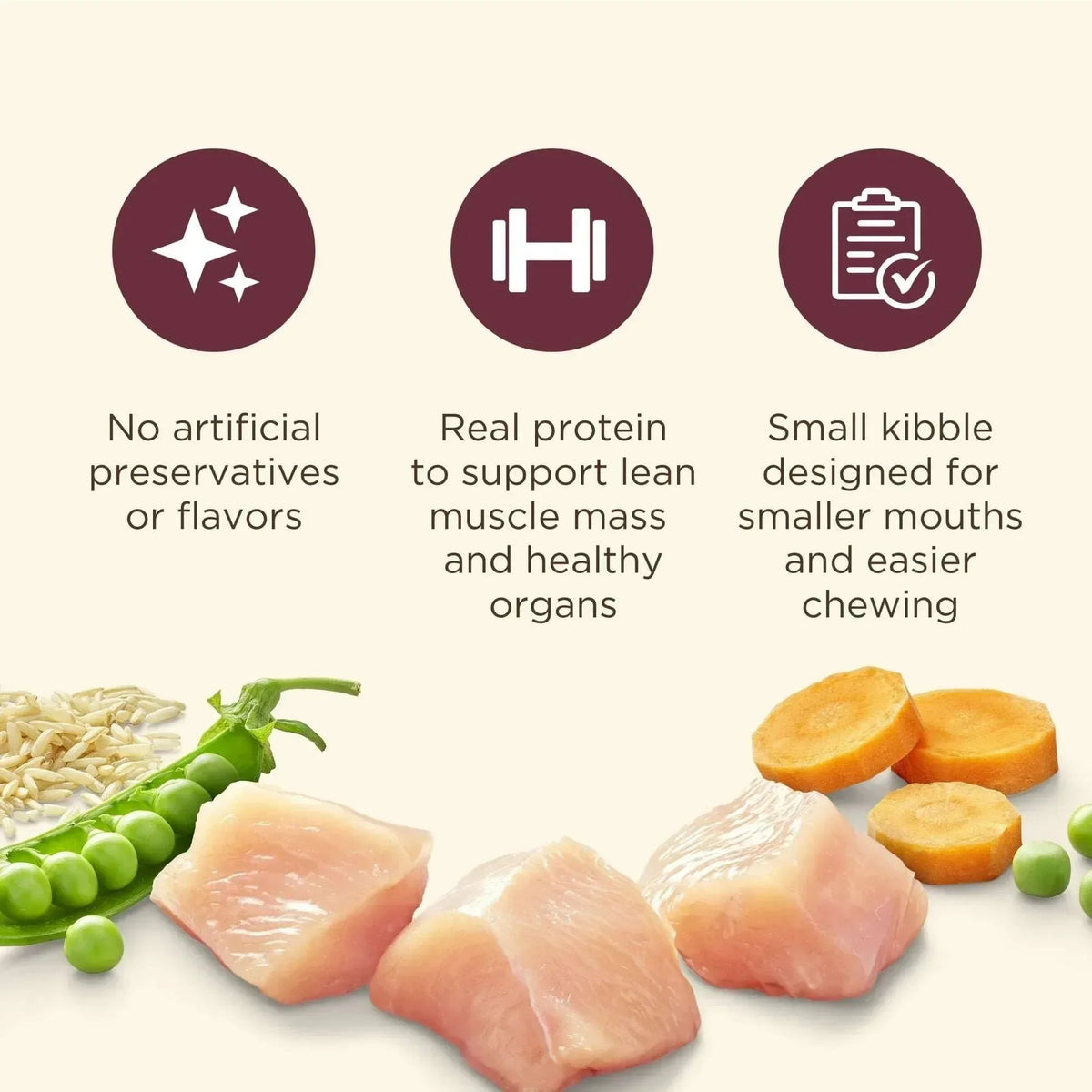 Nutrish Small Breed Real Chicken & Veggies Recipe Whole Health Blend Dry Dog Food