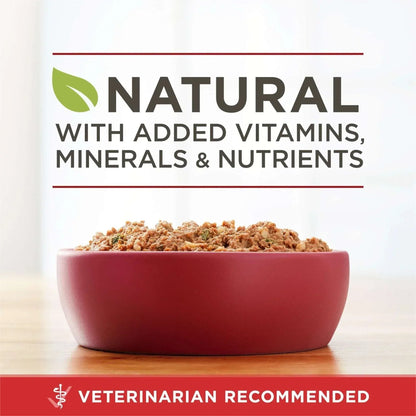 Purina ONE Natural Wet Dog Food, High Protein Soft Beef & Brown Rice Barley, 13 oz Can