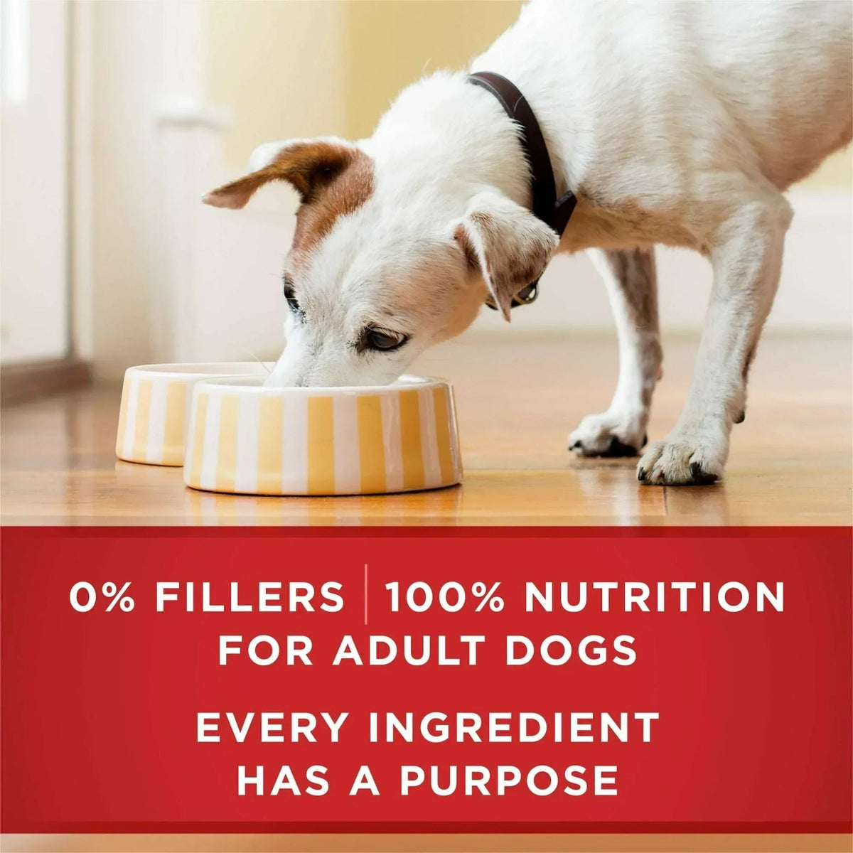 Purina ONE Natural Wet Dog Food, High Protein Soft Beef & Brown Rice Barley, 13 oz Can