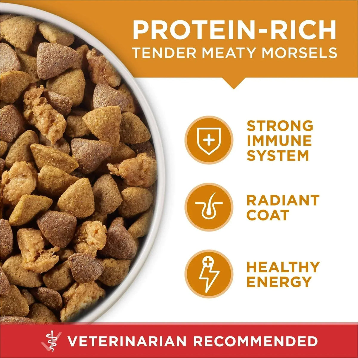 Purina One Dry Dog Food for Adult Dogs High Protein, Real Chicken & Rice