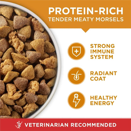 Purina One Dry Dog Food for Adult Dogs High Protein, Real Chicken & Rice