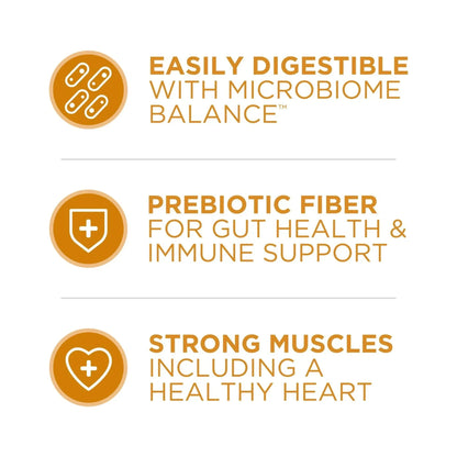 Purina One Dry Dog Food for Adult Dogs High Protein, Real Chicken & Rice