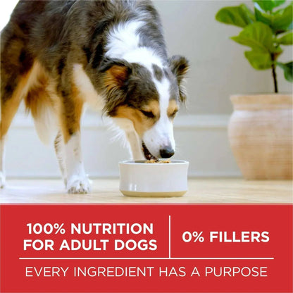 Purina One Dry Dog Food for Adult Dogs High Protein, Real Chicken & Rice